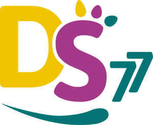 Logo DS77 (ex Domicile Service)